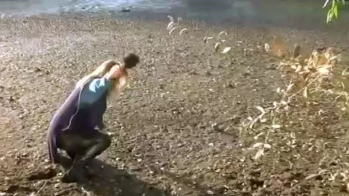 Η λίμνη της Καστοριάς «κατάπιε» δημοσιογράφο σε ζωντανή σύνδεση (βίντεο)